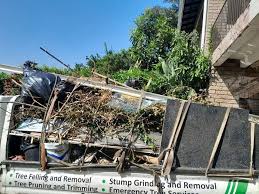 Best Foreclosure Cleanout  in Gunnison, CO